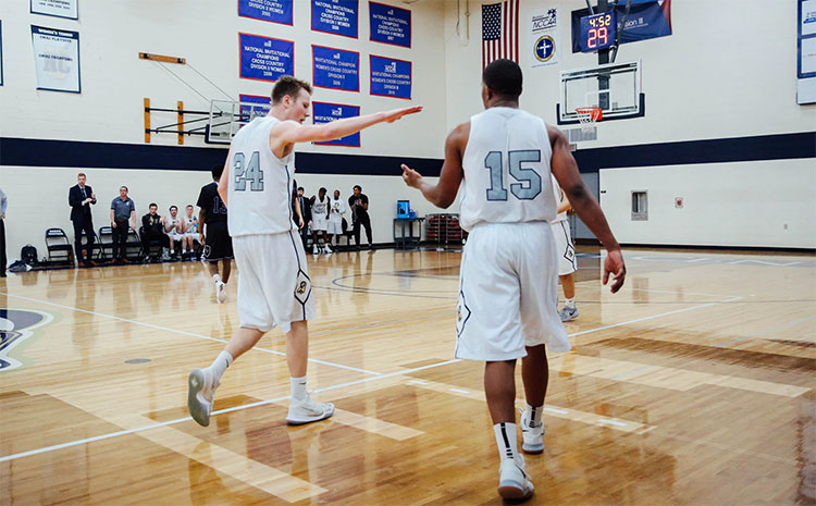 烏魯木齊楓樺木體育木地板哪家專業(yè)