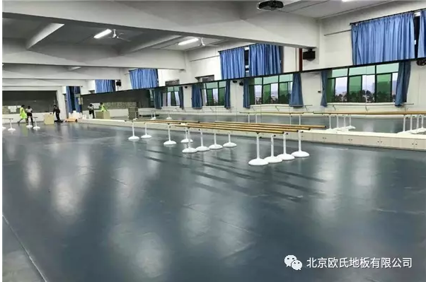 舞蹈室地膠--廣東河源市理工學(xué)校理工學(xué)校成功案例 舞蹈室地膠--廣東河源市理工學(xué)校理工學(xué)校成功案例